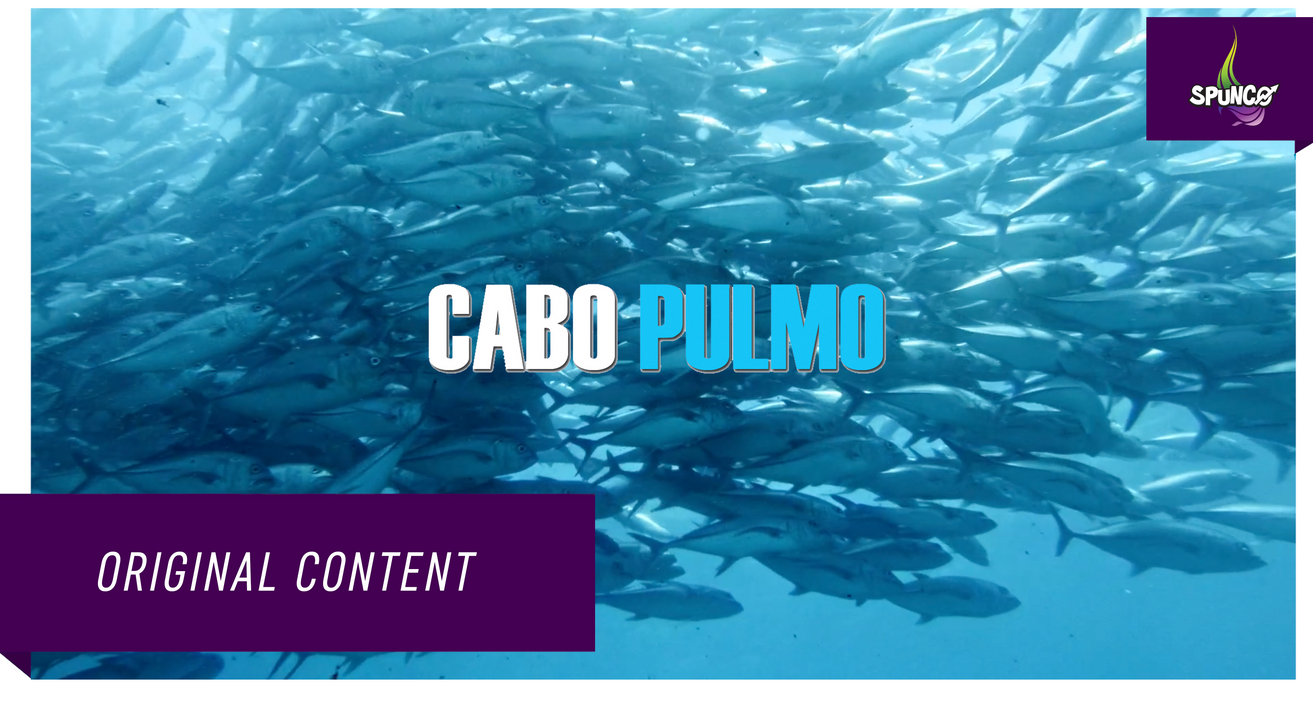 Cabo Pulmo - Official Trailer